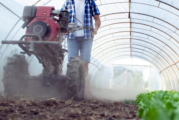 Decreto Legge Agricoltura: nuove agevolazioni per il settore primario