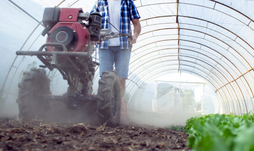 Decreto Legge Agricoltura: nuove agevolazioni per il settore primario